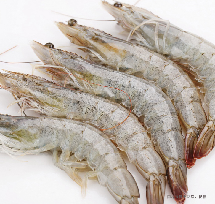 厄瓜多爾南美白蝦進口報關(guān)資料到天津水產(chǎn)品案例