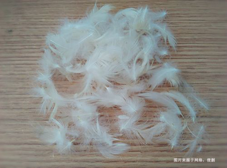 進口馬來西亞水洗鴨毛報關(guān)流程到上海外高橋案例