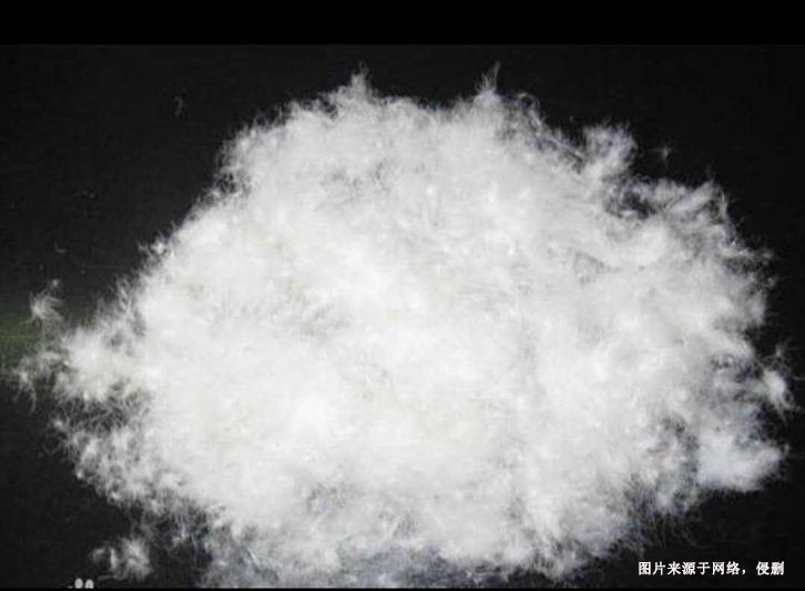 越南水洗鴨絨進口清關流程到上海外高橋代理案例