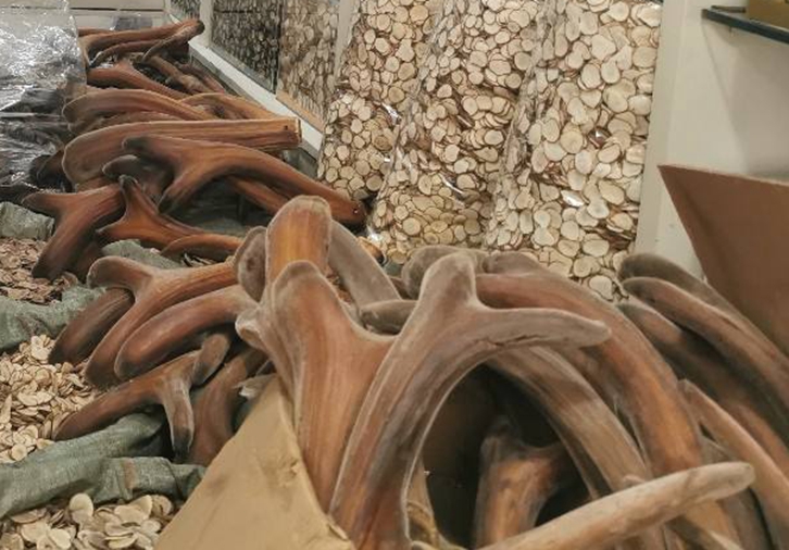 新西蘭鹿角進口報關資質