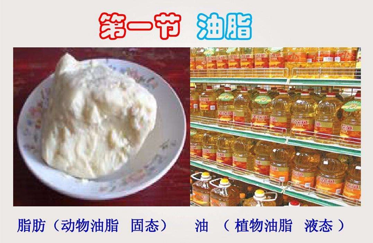 動物油脂進口報關