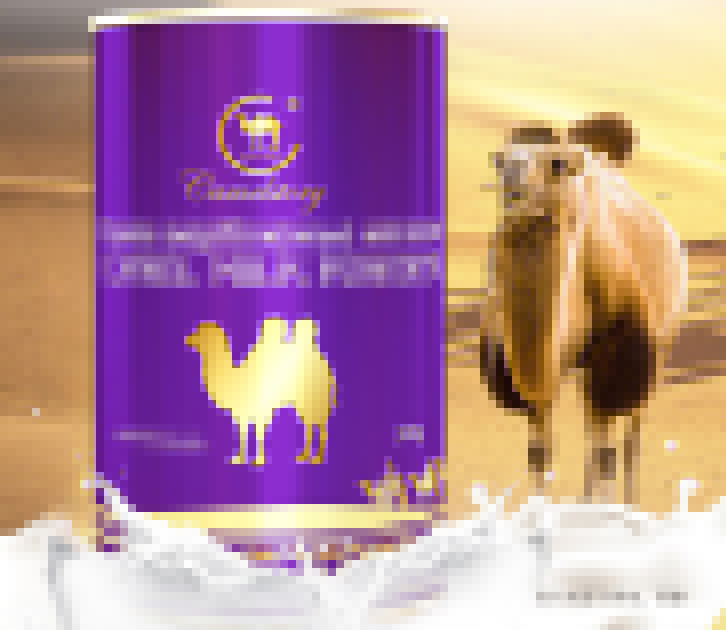 哈薩克斯坦駱駝奶粉進口報關(guān)