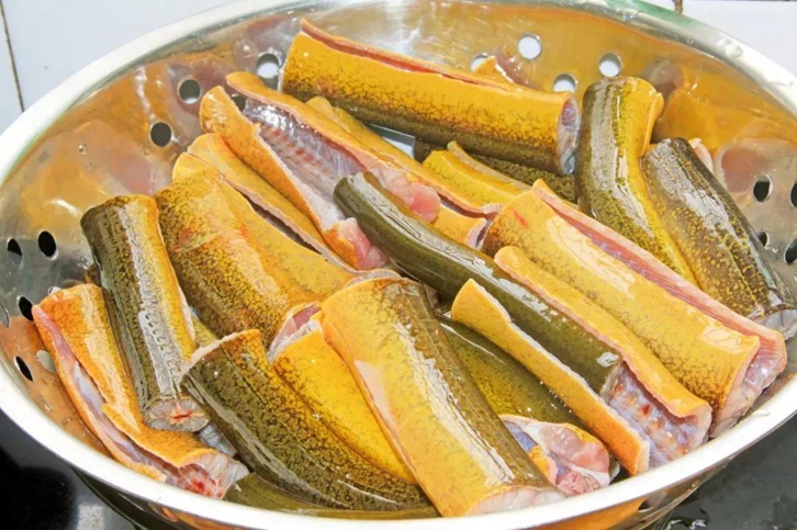 緬甸黃鱔進口報關(guān)流程