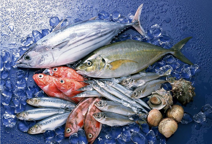 美國冷凍魚水產品進口清關關稅_青島港水產品報關