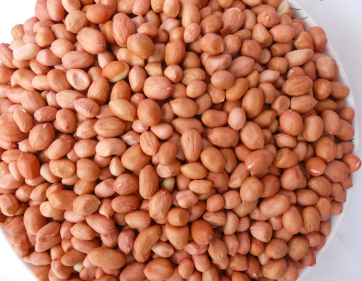 廣州花生米進(jìn)口報(bào)關(guān)代理