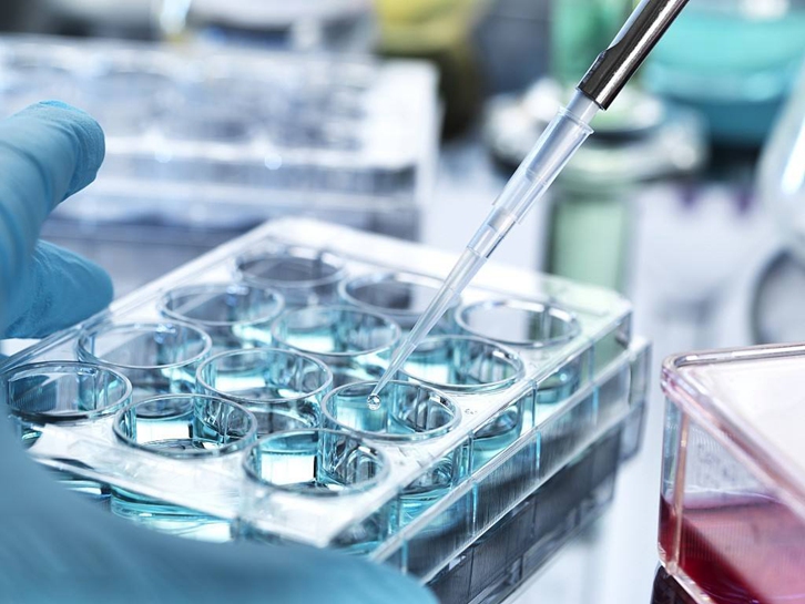 青島科研生物細胞進口報關費用