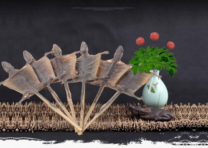 蛤蚧進口報關代理_大壁虎進口清關流程