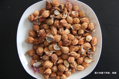 進口澳大利亞豆蔻報關(guān)資料-調(diào)味料進口無需藥品通關(guān)單