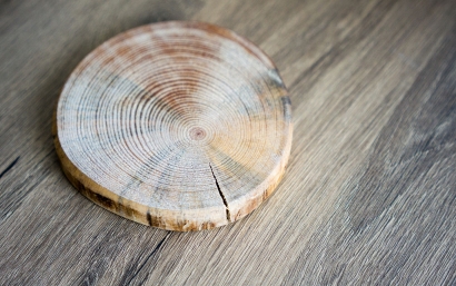 大連橡膠木進(jìn)口報(bào)關(guān)代理服務(wù)