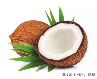 進口椰子怎么清關？斯里蘭卡干椰子進口報關流程