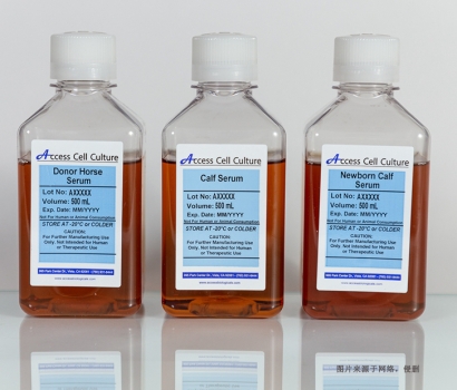 澳大利亞生物制品小牛血清進口報關費用-特殊物品