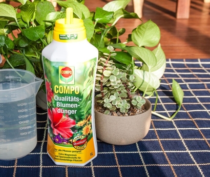 氨基酸營養(yǎng)液進口報關(guān)資料_植物營養(yǎng)劑進口申報要素