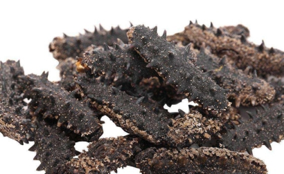 干海參進口報關手續_干海參進口的關稅