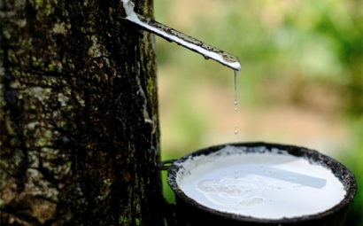 干貨!進口橡膠清關所需的單證資料以及注意事項