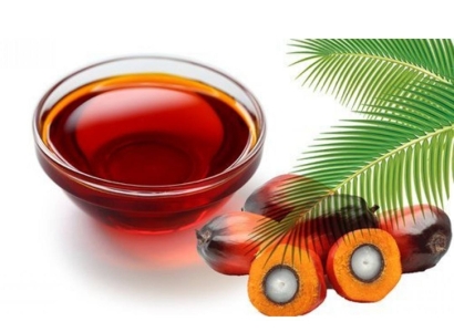 棕櫚油進口報關公司哪家好？棕櫚油清關流程