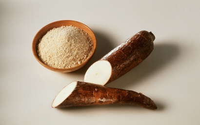 青島木薯淀粉進口清關(guān)代理服務