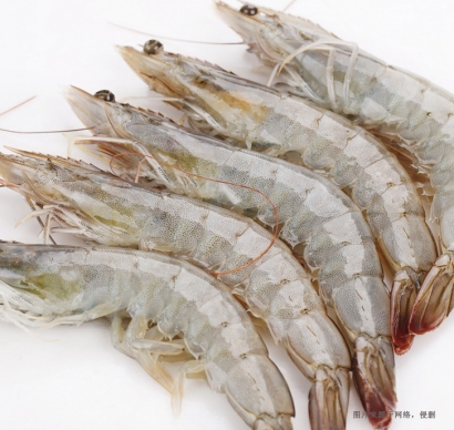 一文詳解進(jìn)口蝦怎么清關(guān)？巴拿馬白腳蝦報(bào)關(guān)的關(guān)稅