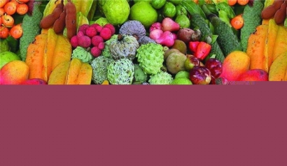 泰國(guó)水果進(jìn)口報(bào)關(guān)一站式代理服務(wù)公司