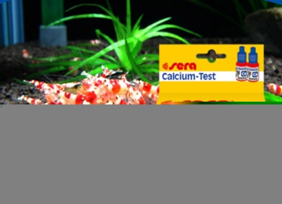 廣州黃埔進口荷蘭水質測試劑清關流程化工品案例