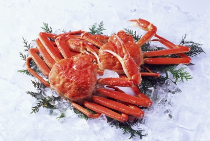 上海帝王蟹進(jìn)口清關(guān)代理服務(wù)