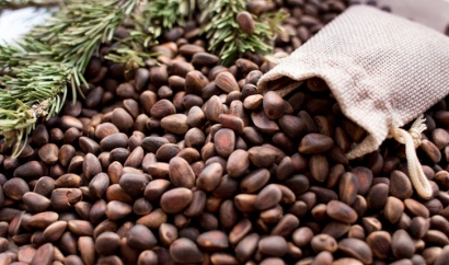 松子進口清關公司 一站式進口代理服務