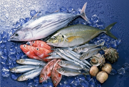 美國冷凍魚水產(chǎn)品進口清關關稅_青島港水產(chǎn)品報關