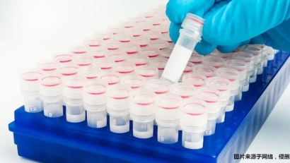 上海進(jìn)口生物試劑報關(guān)流程_進(jìn)口生物試劑上海報關(guān)步驟