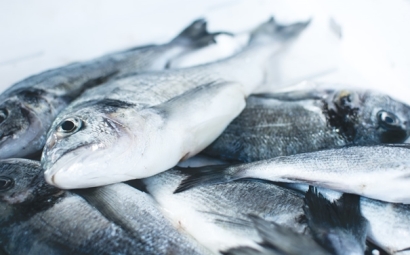 冷凍魚(yú)進(jìn)口報(bào)關(guān)注意事項(xiàng)有這些，參考一下