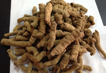 進(jìn)口藥材巴戟天報關(guān)_阿爾巴尼亞準(zhǔn)入藥材有哪些