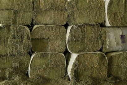 苜蓿草進口清關流程_苜蓿草報關審批單證資料