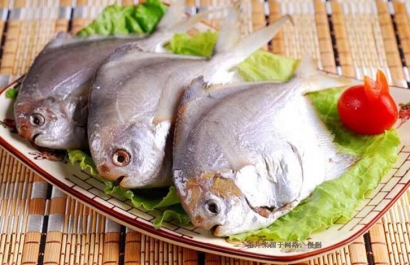 廣州南沙凍鯧魚進(jìn)口報(bào)關(guān)資料_厄瓜多爾準(zhǔn)入水產(chǎn)品