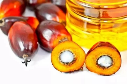 進(jìn)口印尼棕櫚油報(bào)關(guān)流程及費(fèi)用門(mén)到門(mén)-19年食品報(bào)關(guān)行