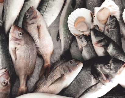 大連進口海鮮清關代理之前，務必要確定好這幾點