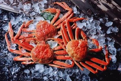 廣州機(jī)場進(jìn)口斯里蘭卡螃蟹報(bào)關(guān)費(fèi)用_水產(chǎn)品通關(guān)費(fèi)