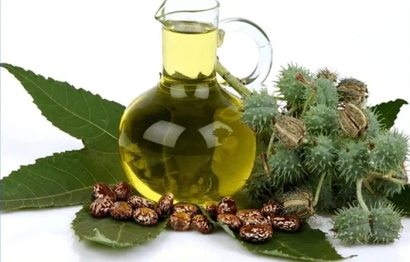 進口印度蓖麻油清關的費用_植物油進口準入