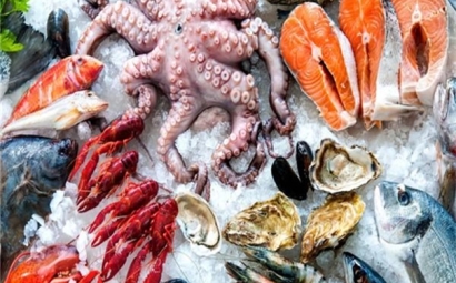 美國冷凍海鮮進口報關的相關問答，了解一下