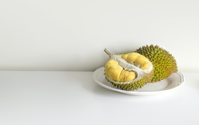 榴蓮進口報關