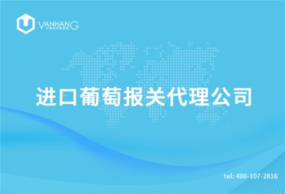 進口葡萄報關(guān)代理公司