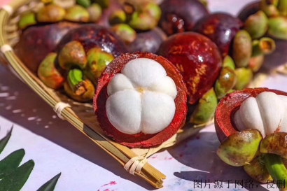 越南山竹進(jìn)口清關(guān)資料_胡志明港海運(yùn)水果到廣州費(fèi)用