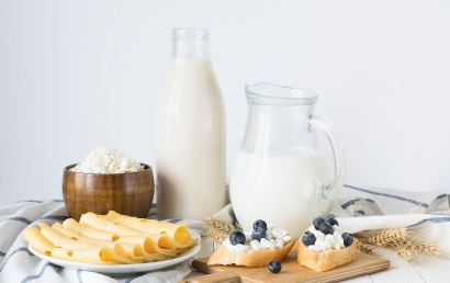 天津乳制品進口報關(guān)代理