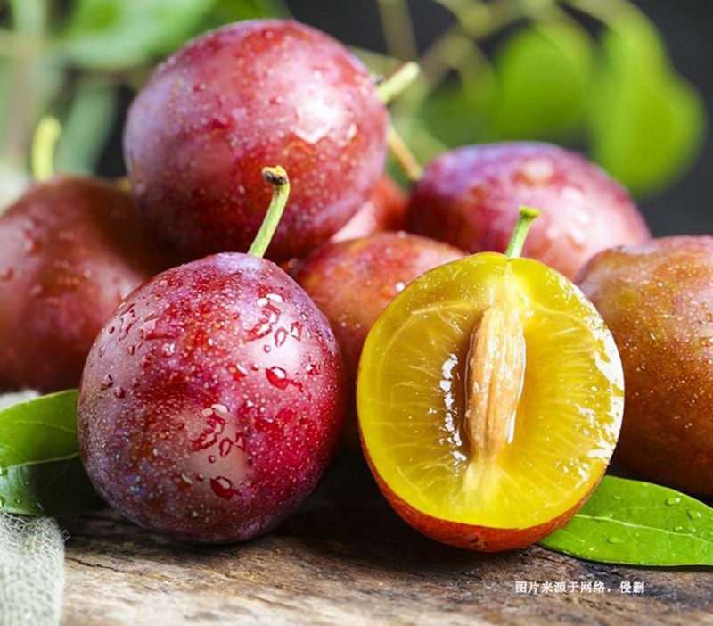 進(jìn)口智利西梅報(bào)關(guān)流程 進(jìn)口智利西梅報(bào)關(guān)流程