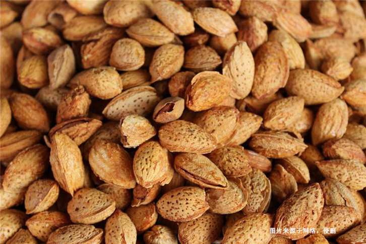 進口美國巴旦木堅果清關資料 進口美國巴旦木堅果清關資料