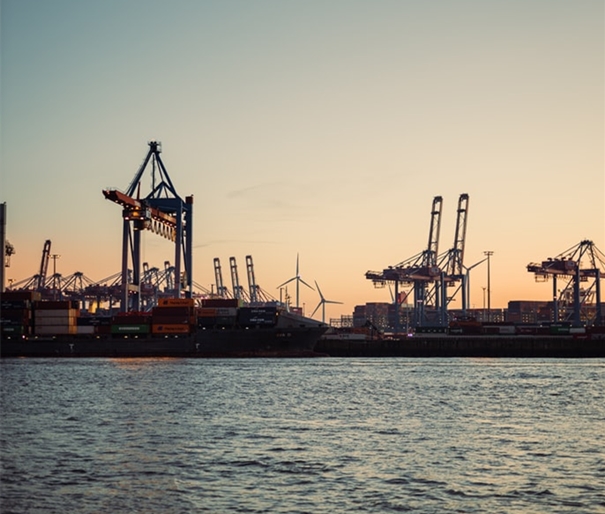 1641895155845710.jpg 山東日照進(jìn)口報關(guān)公司_副本.jpg