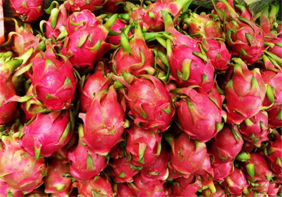 1584063029186450.jpg 越南火龍果進(jìn)口報(bào)關(guān)清關(guān)