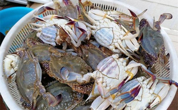 冷凍梭子蟹進口報關 冷凍梭子蟹進口報關的流程手續(xù)復雜嗎?