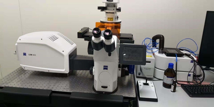 1598236921231527.jpg 環境科研設備進口報關