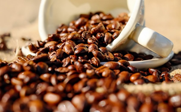 咖啡豆進(jìn)口報關(guān) 加拿大咖啡豆進(jìn)口報關(guān)的流程以及資料是怎樣的