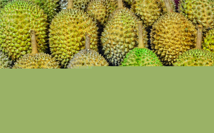 馬來西亞榴蓮進口報關代理公司 馬來西亞榴蓮進口報關