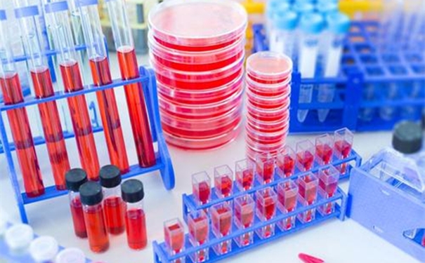 進(jìn)口生物試劑清關(guān)時(shí)效以及流程 進(jìn)口生物試劑清關(guān)