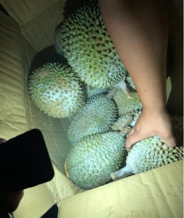 1637923437339410.jpg 泰國(guó)進(jìn)口榴蓮清關(guān)公司_副本.jpg